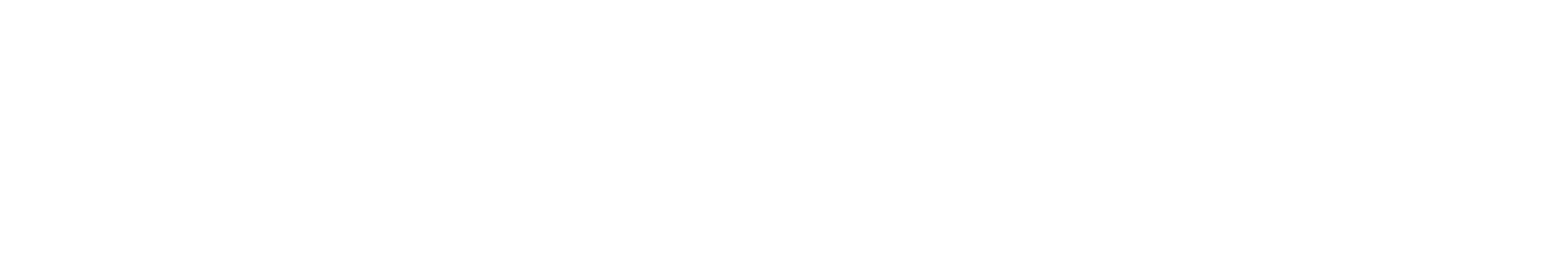 Logo RKZ 2021 diap
